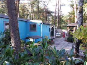 Boshuis Turquoise / smaakvol genieten op de Veluwe